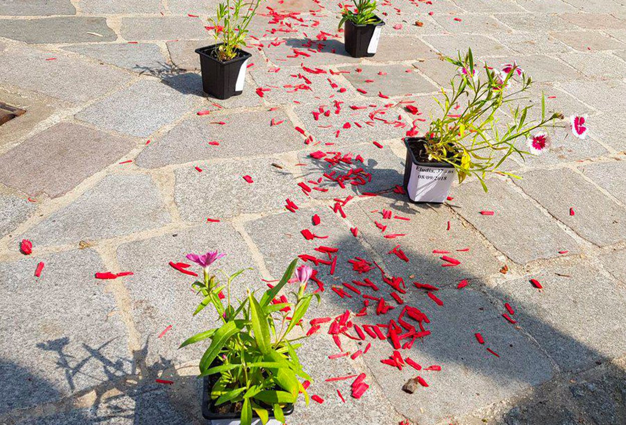 Paris : hommage aux morts de la rue - Michel Larive